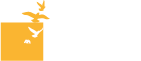 Header Logo- Excel